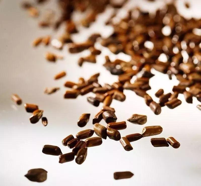 胡博士讲中药视频,胡博士中药治咳嗽