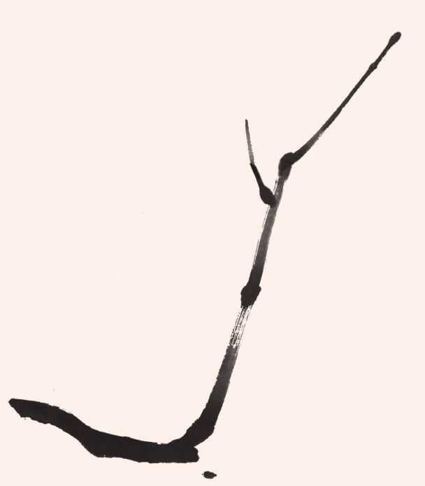 国画教程零基础入门树的画法,国画花卉线稿教程大全