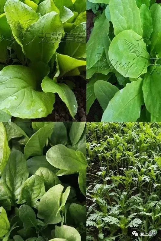 露营抓住五一假期的小尾巴,昌平民宿自驾游推荐