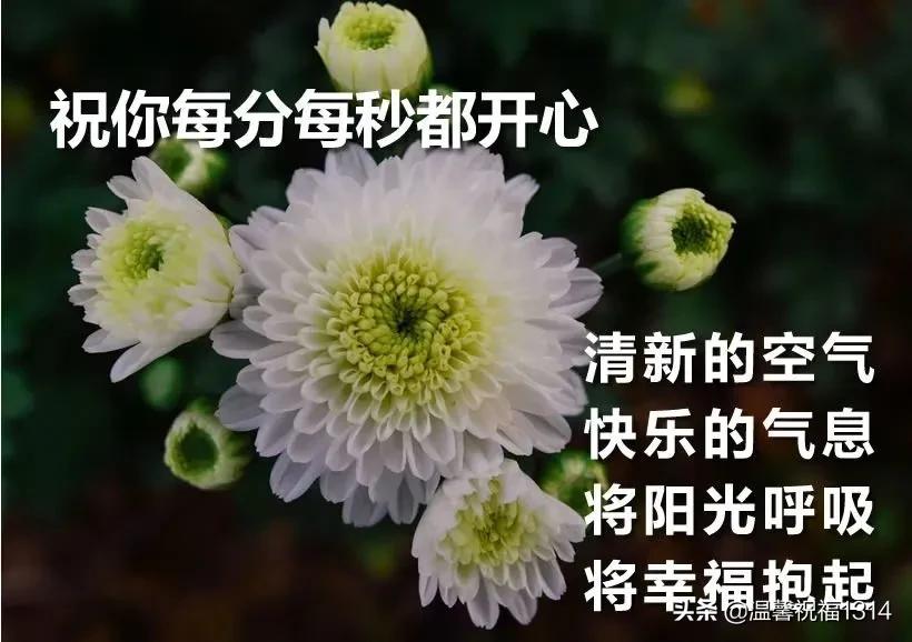 暖心问候语动态图,问候祝福语动态图片大全