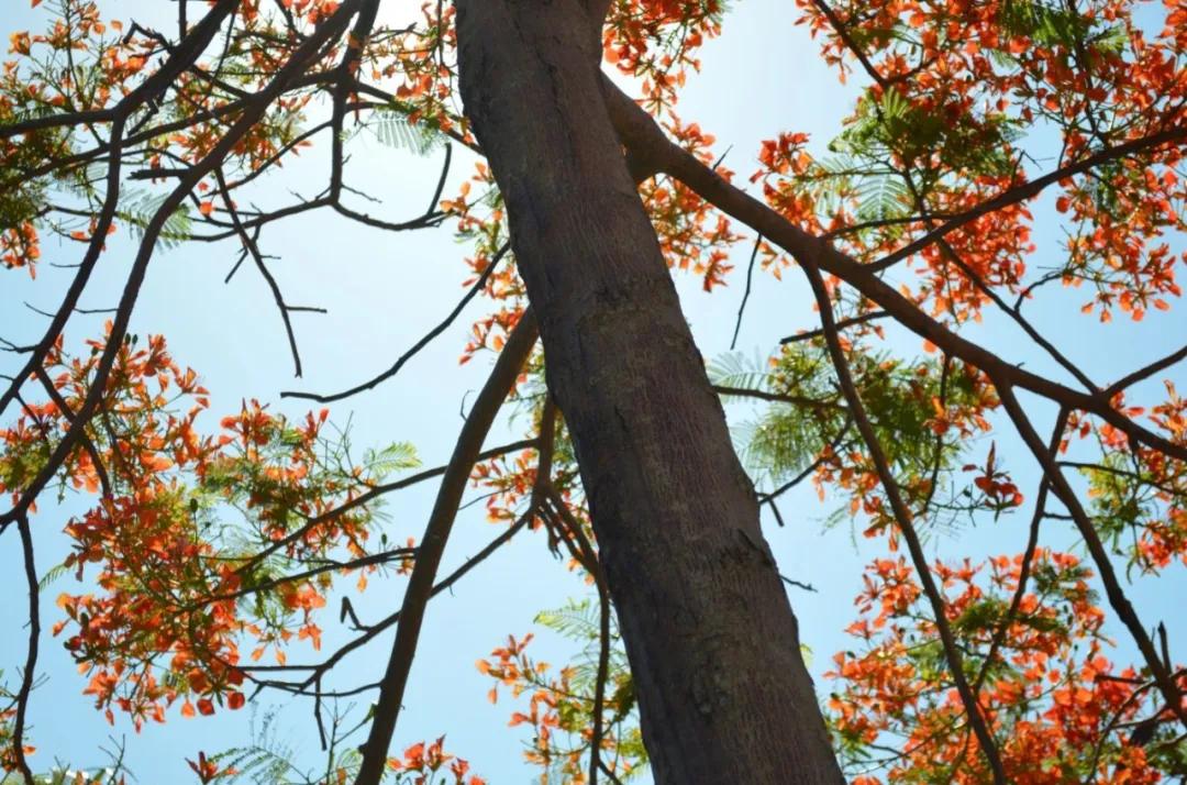 这才是真正的海南三亚,海南真的不止有三亚吗