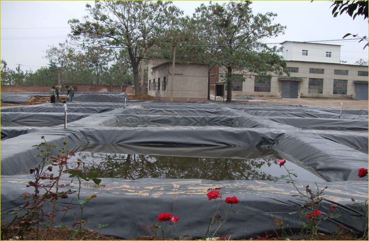 鱼塘防水防渗膜是什么膜,pe防渗膜与橡胶防渗膜