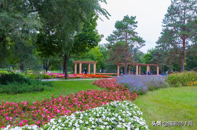 哈尔滨太阳岛美丽的秋色,哈尔滨美丽的太阳岛