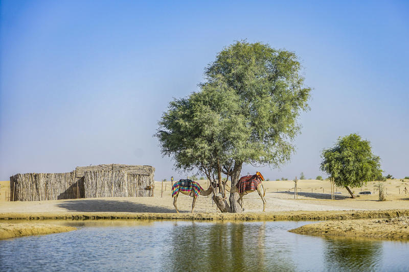 从天空到海洋到大地的视频,从天空到海底绘本