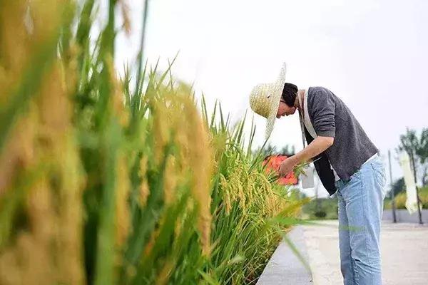 回乡创业的难点和机遇解答,2023年预计返乡创业人数达到