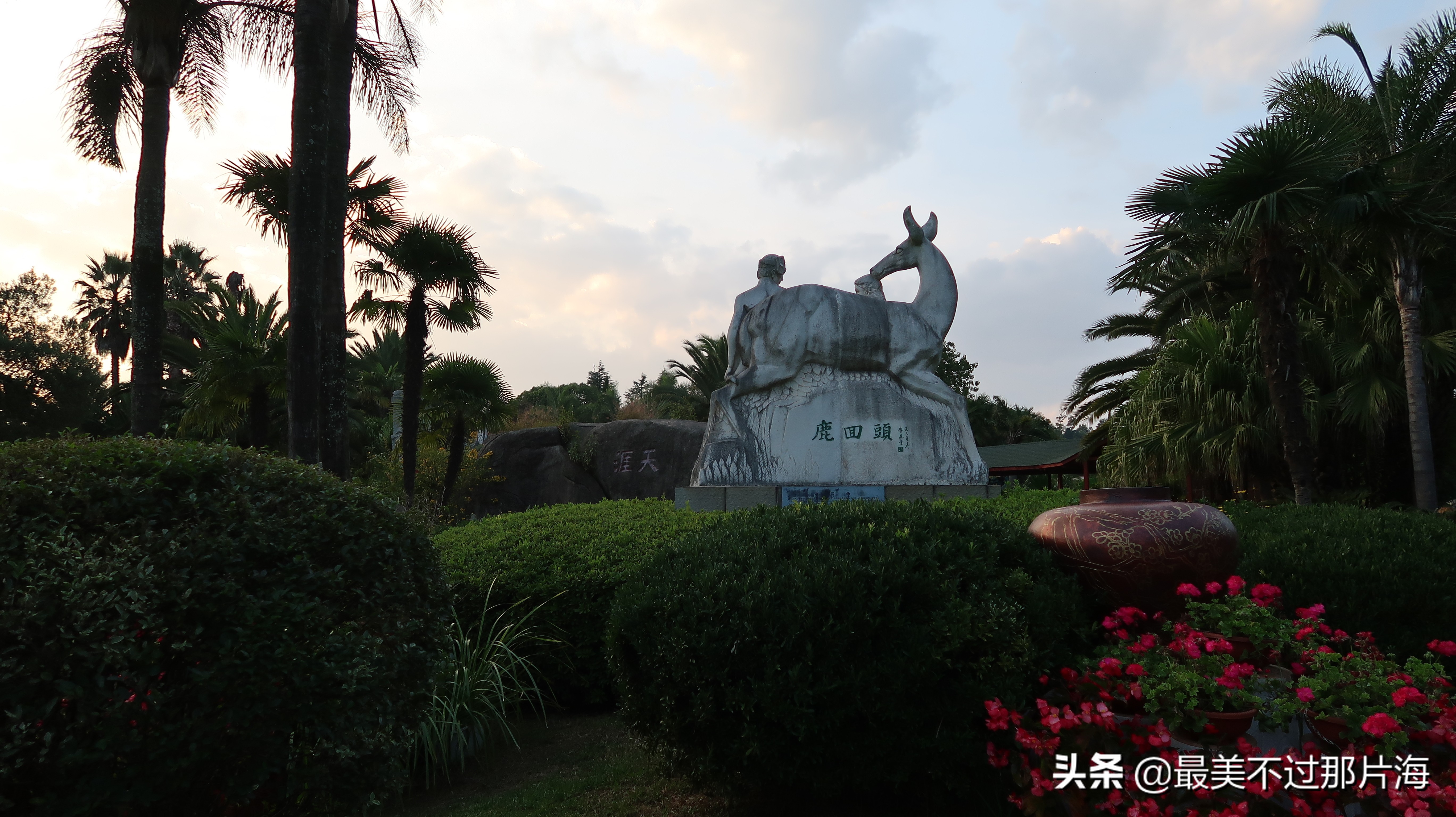 昆明世博园和云南大观园游玩攻略,昆明有个世博园四季如春好地方