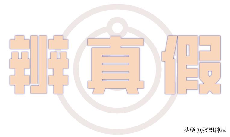 3ce淘宝真正的旗舰店叫什么名字,3ce的淘宝旗舰店