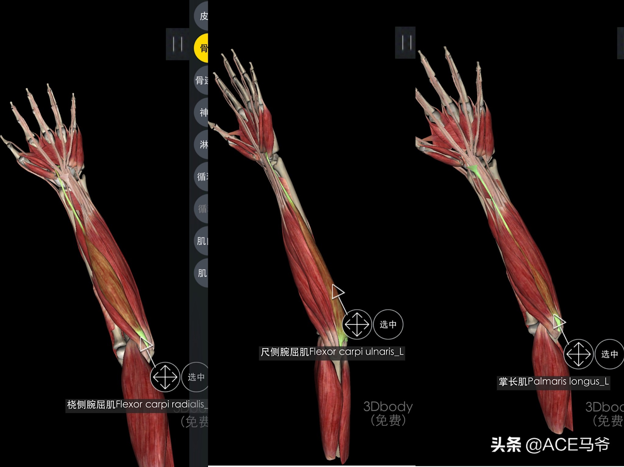最容易被忽视，但是又非常重要的训练。小臂力量训练