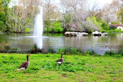 第一次去英国,第一次去英国需要什么手续