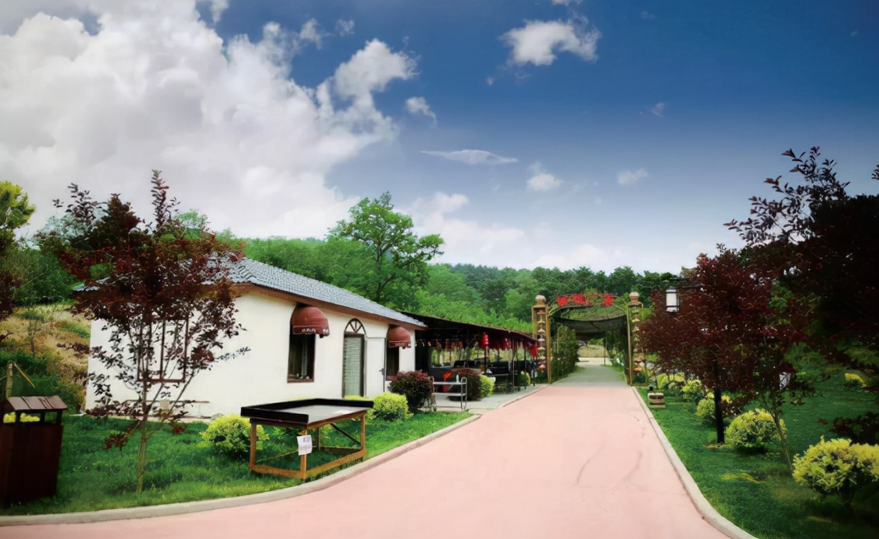 追寻最绚丽的“红”|“大美浑南漫生活之旅”