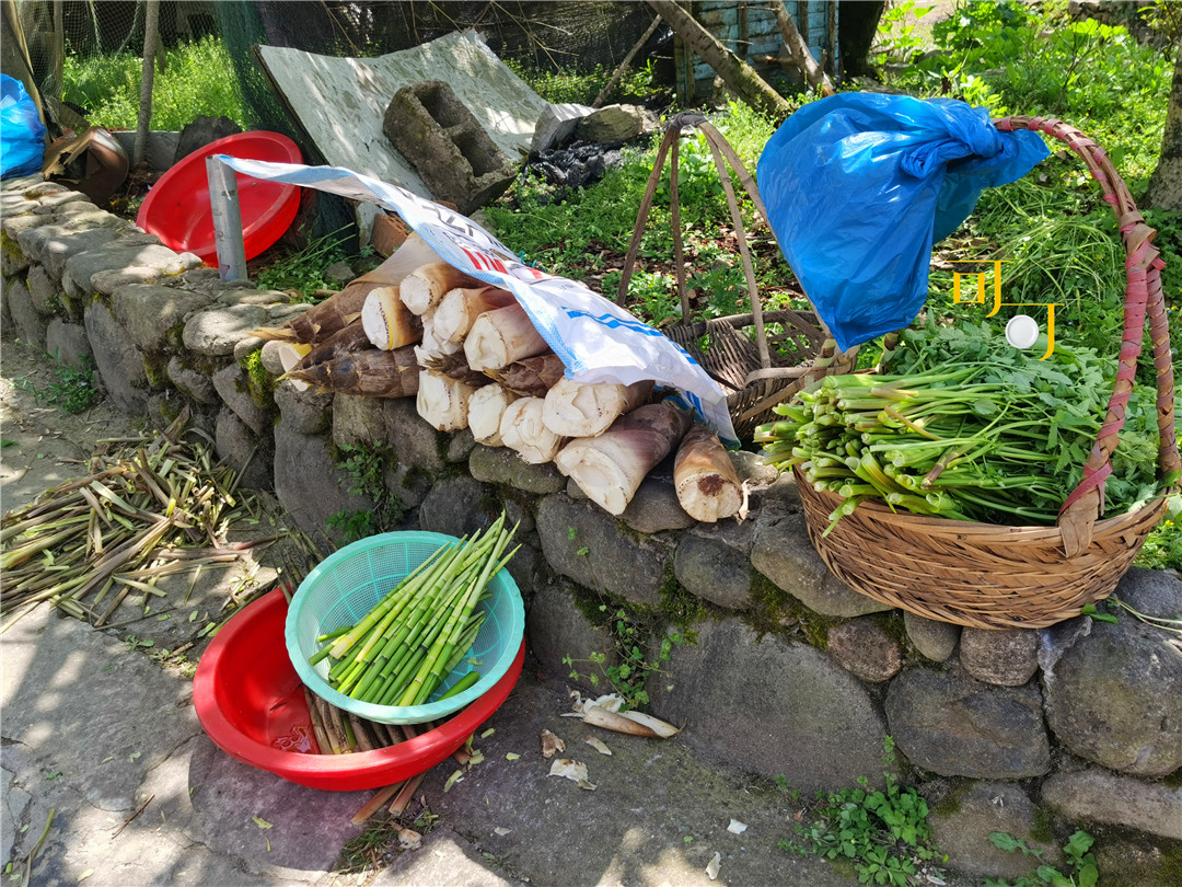 余姚四明山农家乐跟团游有吗,余姚市四明山高山布依农家乐