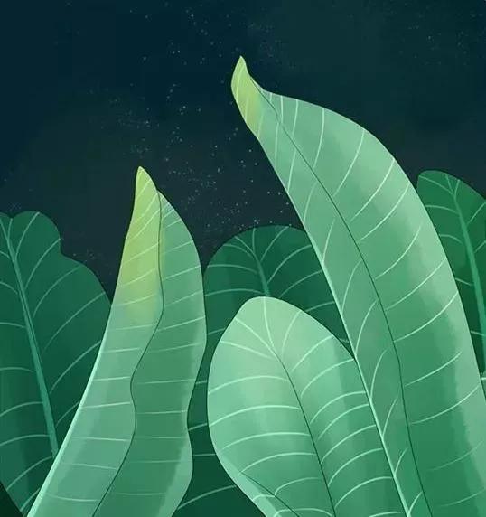 相亲对话大全视频,相亲聊天30分钟