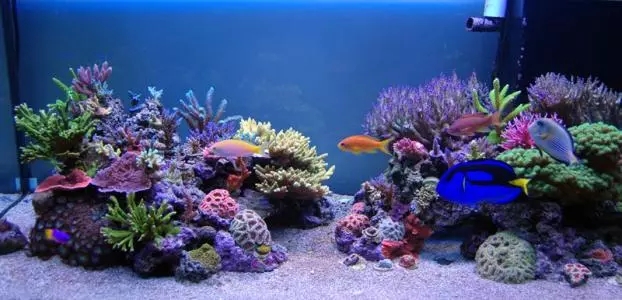 要每天换水吗,你会正确喝水么