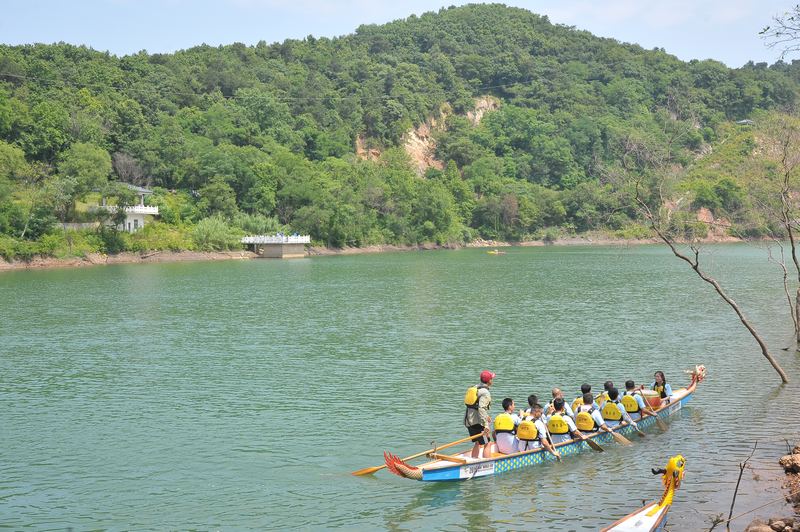 2019年端午龙舟比赛,今年龙舟比赛哪里最精彩