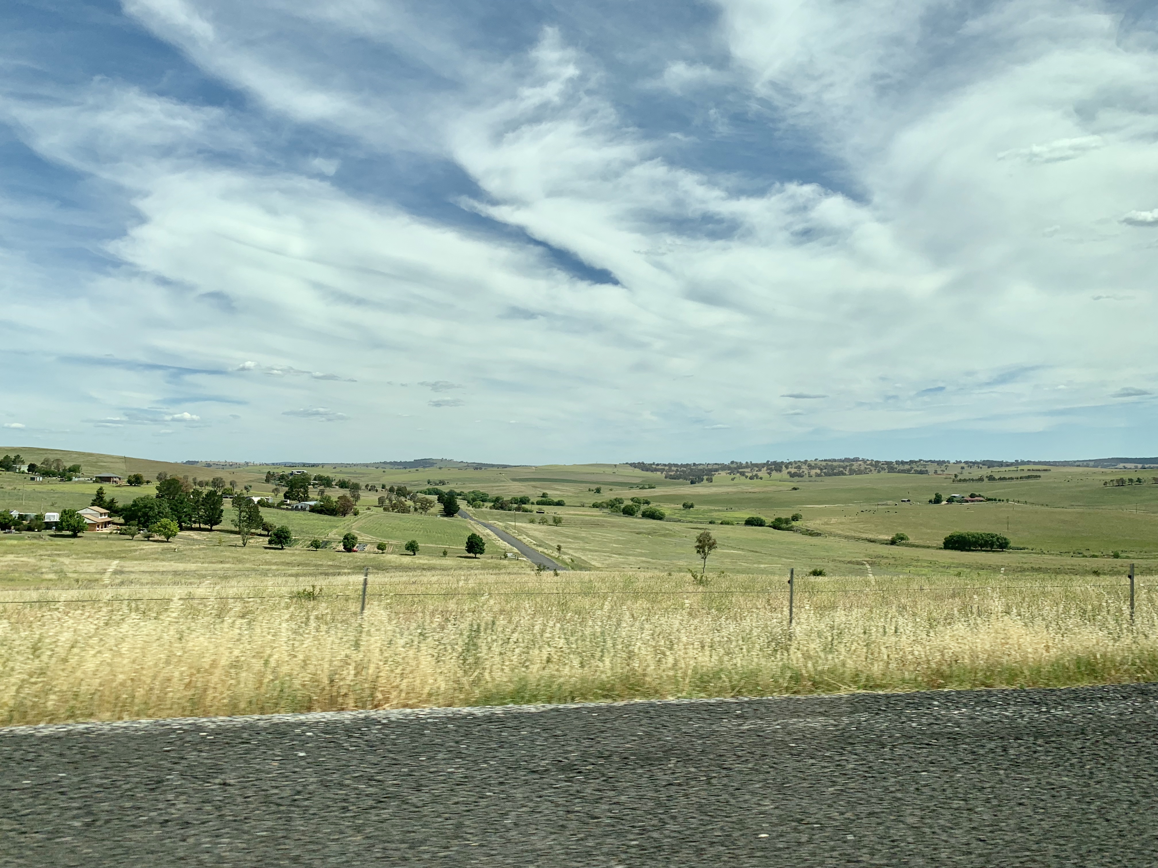 澳洲樱桃采摘,在澳洲采樱桃视频