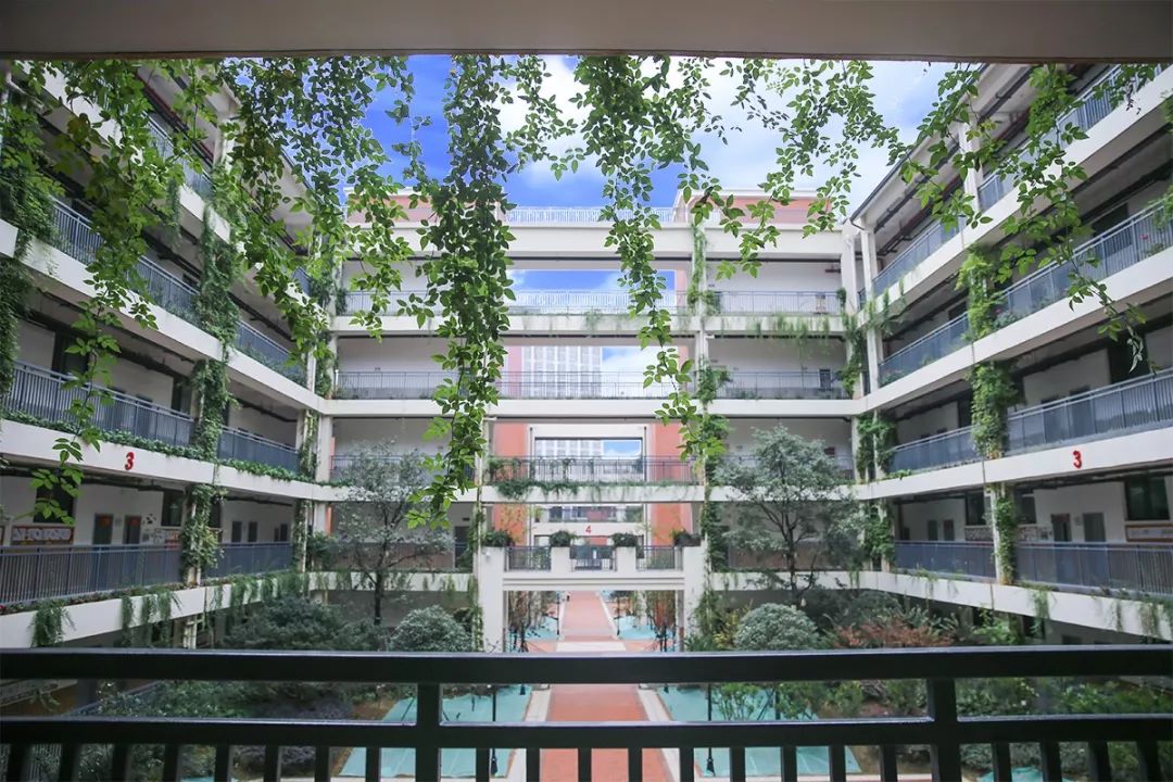 武汉最难进的十大小学,武汉最偏僻的985学校