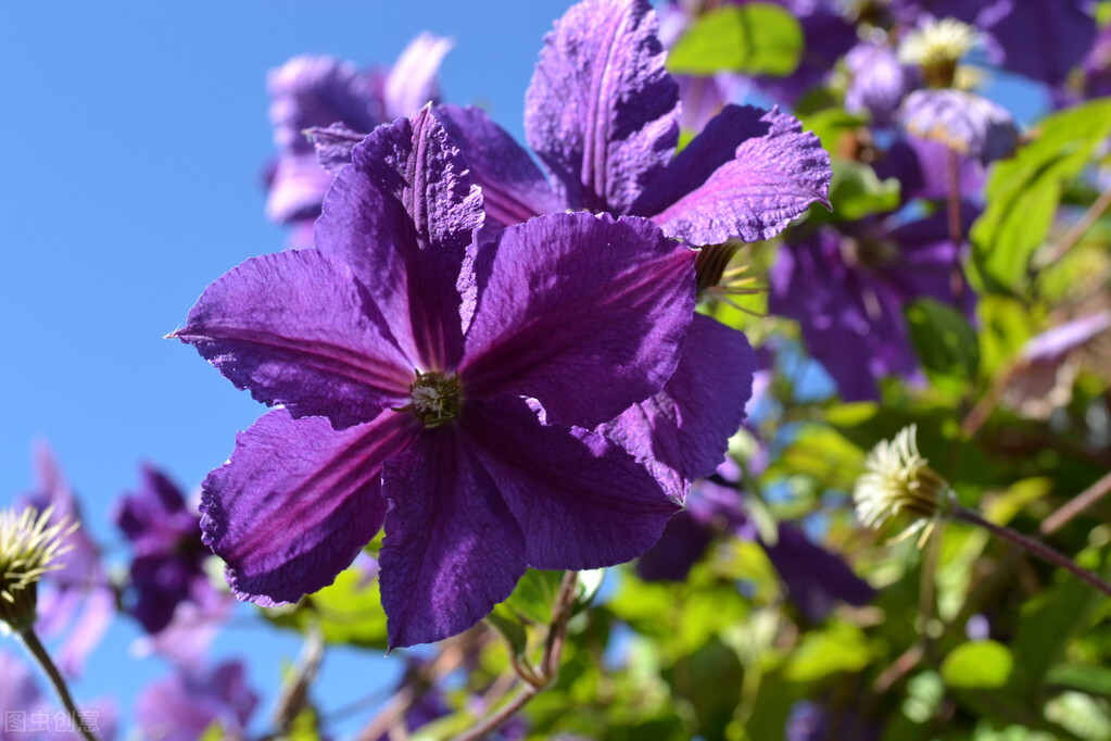 唯美句子浪漫清新抖音短句,小清新阳光唯美短句子抖音