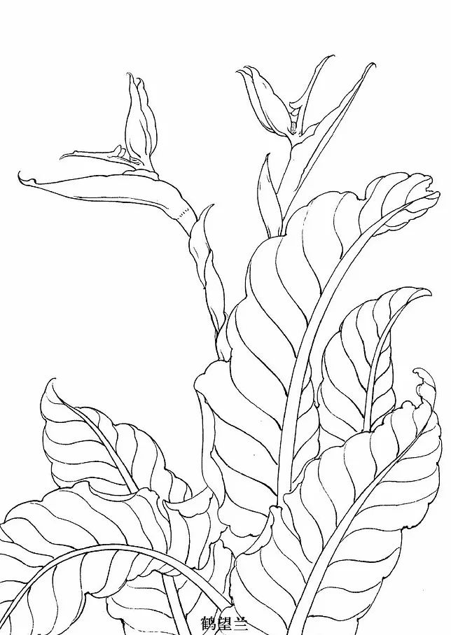 手绘画素材书,100张手绘素材图片