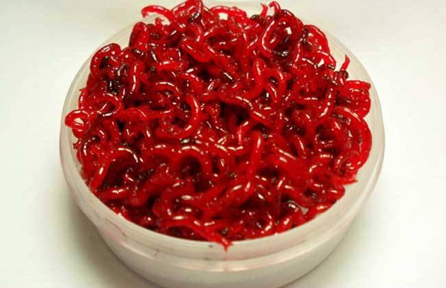 金鱼为什么养着养着就变了颜色,金鱼怎么养才能越来越红