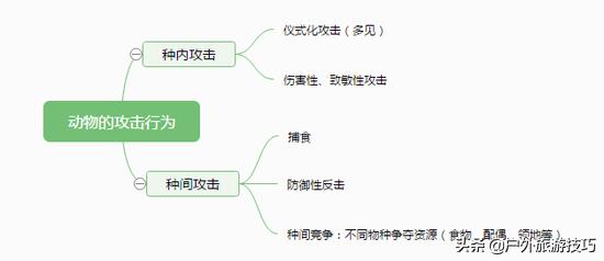 如何纠正马踢人,怎么防止马踢人
