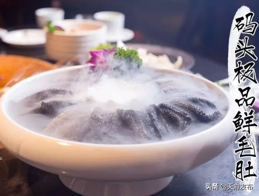 世警会准备什么,世警赛赛程2023