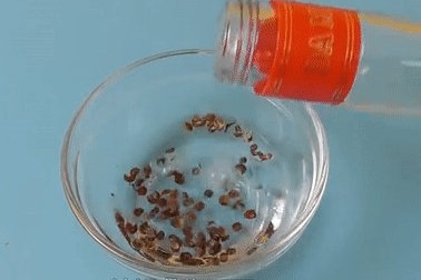 冰箱放置时间长了怎么去味,冰箱有异味怎么清除小妙招