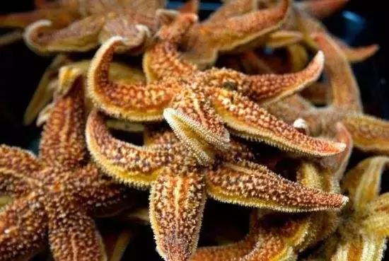 汕尾吃海鲜的正确方式,汕尾人吃海鲜