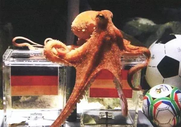 霍金预测足球,霍金算出巴西夺世界杯