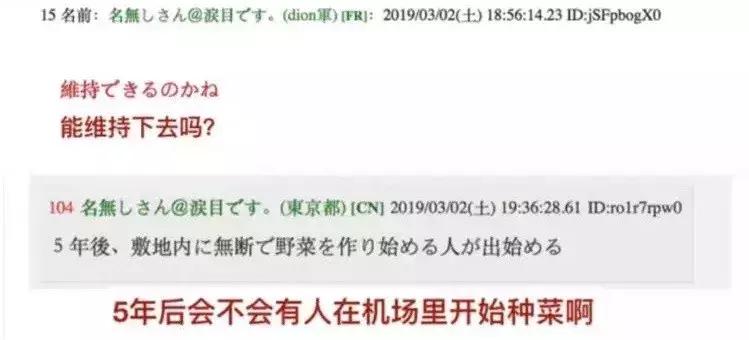 日本网友评价大兴机场,日本网友评论中国飞机