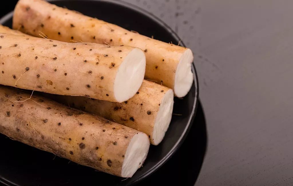 身边处处天然药，延年益寿保健康