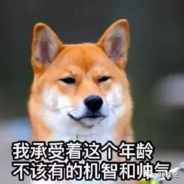 旋挖机手从学徒到出师需要多少步,旋挖钻机怎么入行