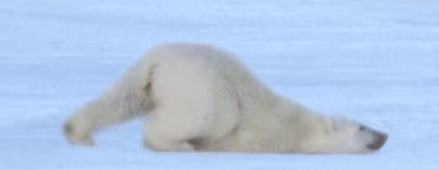适合广东看雪的地方,广东人去看雪
