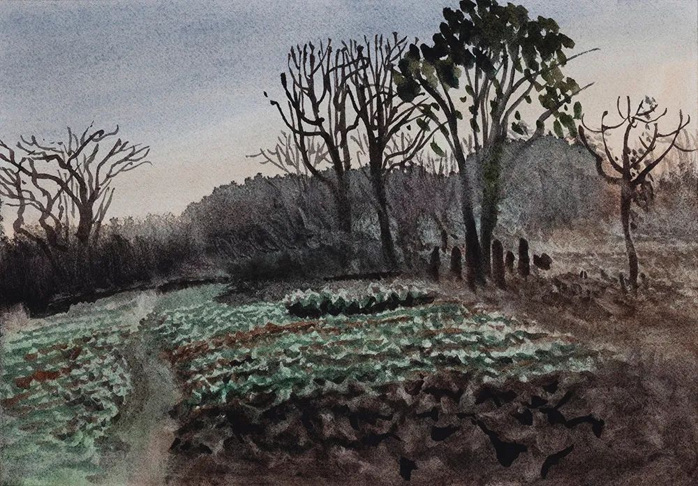 阿文绘画工作室,阿文流体画荷花