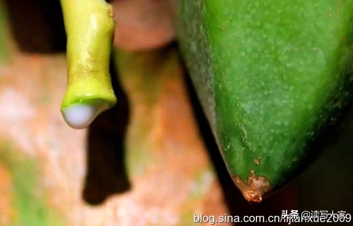 李建学,李建学最新散文