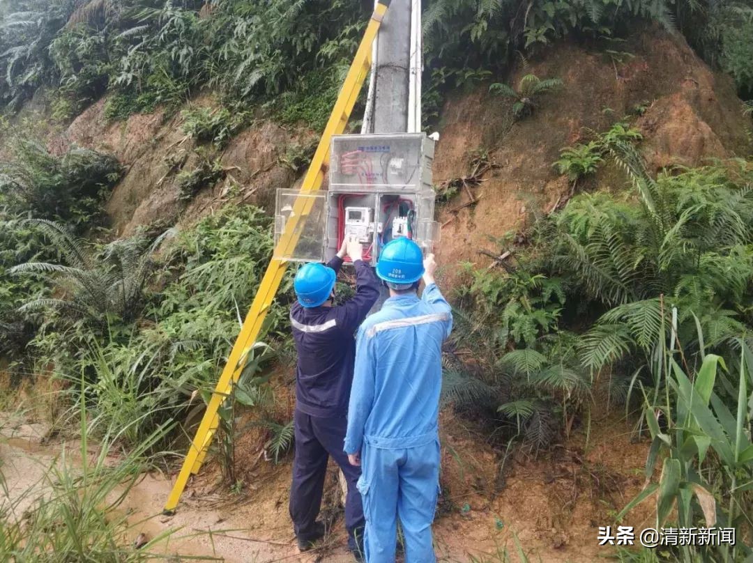 非法加工猪油厂,广东省非法猪油作坊