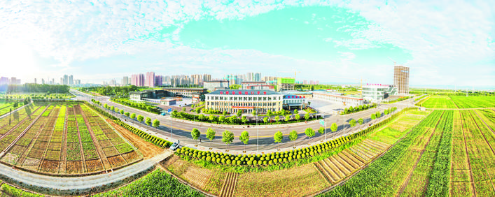 庆丰收感党恩山东各地丰收节活动,庆丰收感党恩宴席背景图片