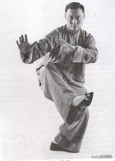 能主宰于腰，太极成矣