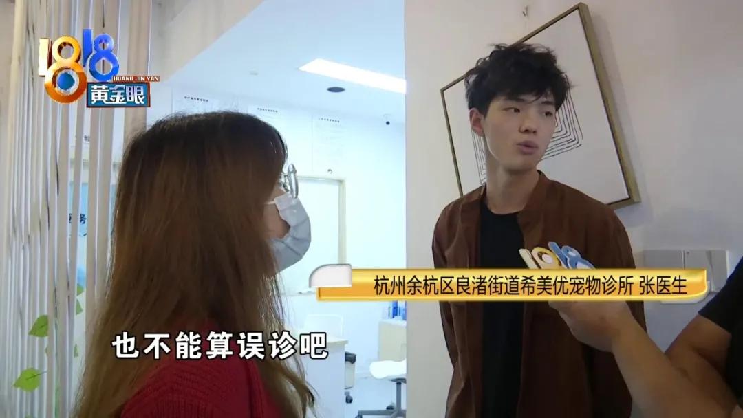 柯基犬突然呕吐是什么原因,柯基犬呕吐拉血是什么原因