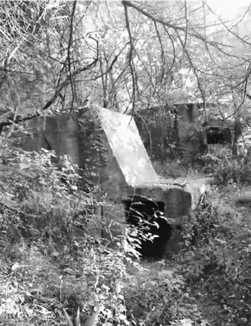 1937年南京保卫战紫金山碉堡,紫金山战役伤亡多少人