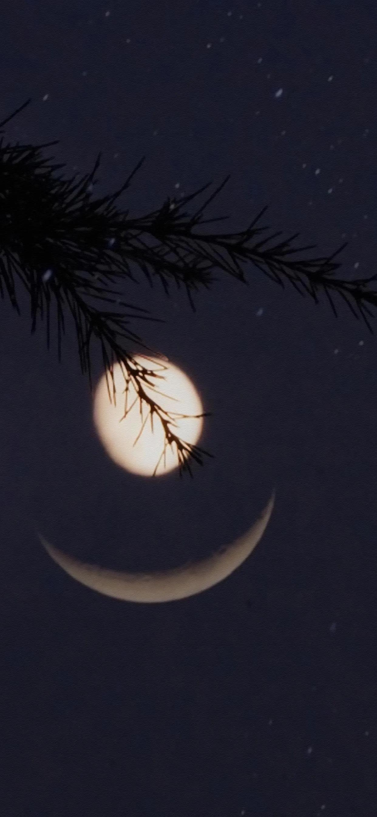 社会潜规则全集,常见的社会潜规则