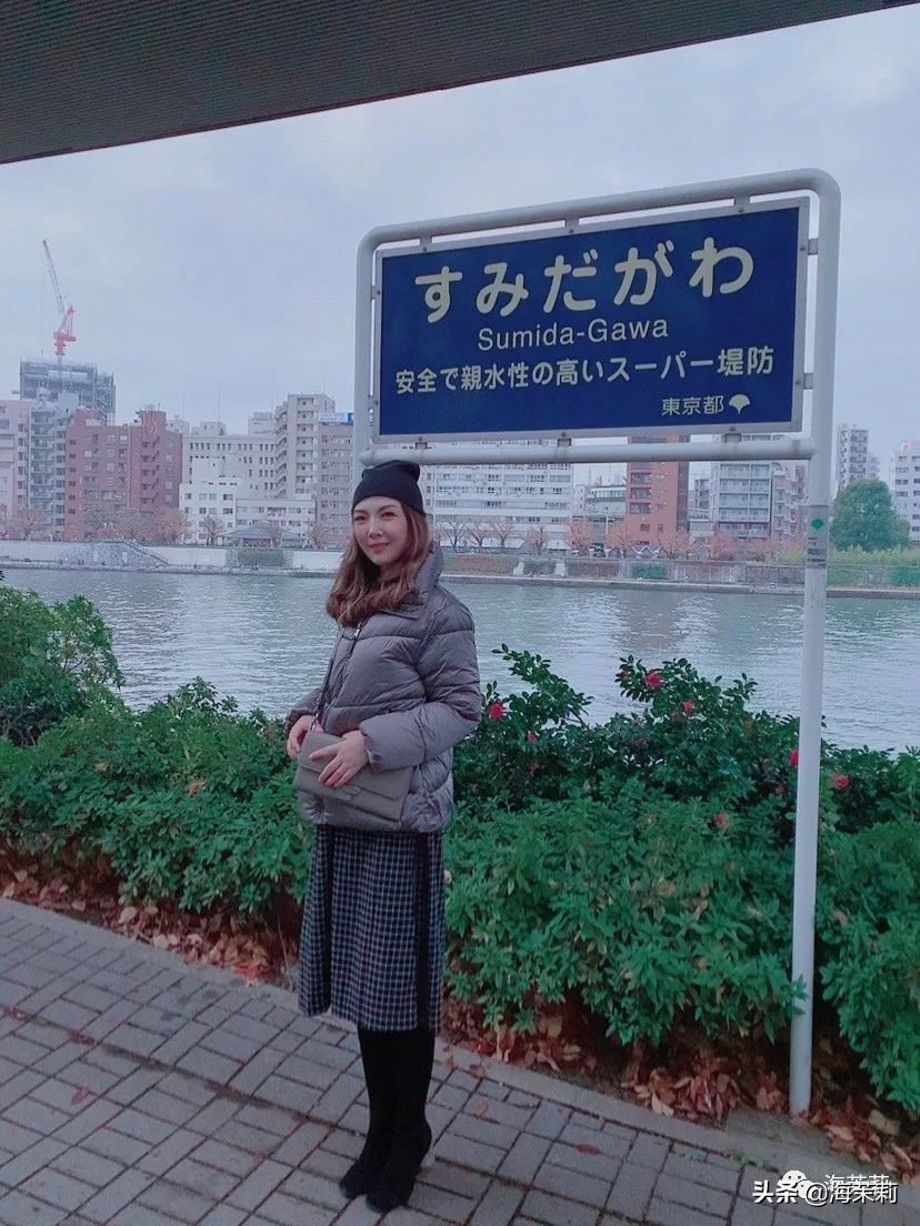 日本东京攻略地图,东京游玩攻略表格