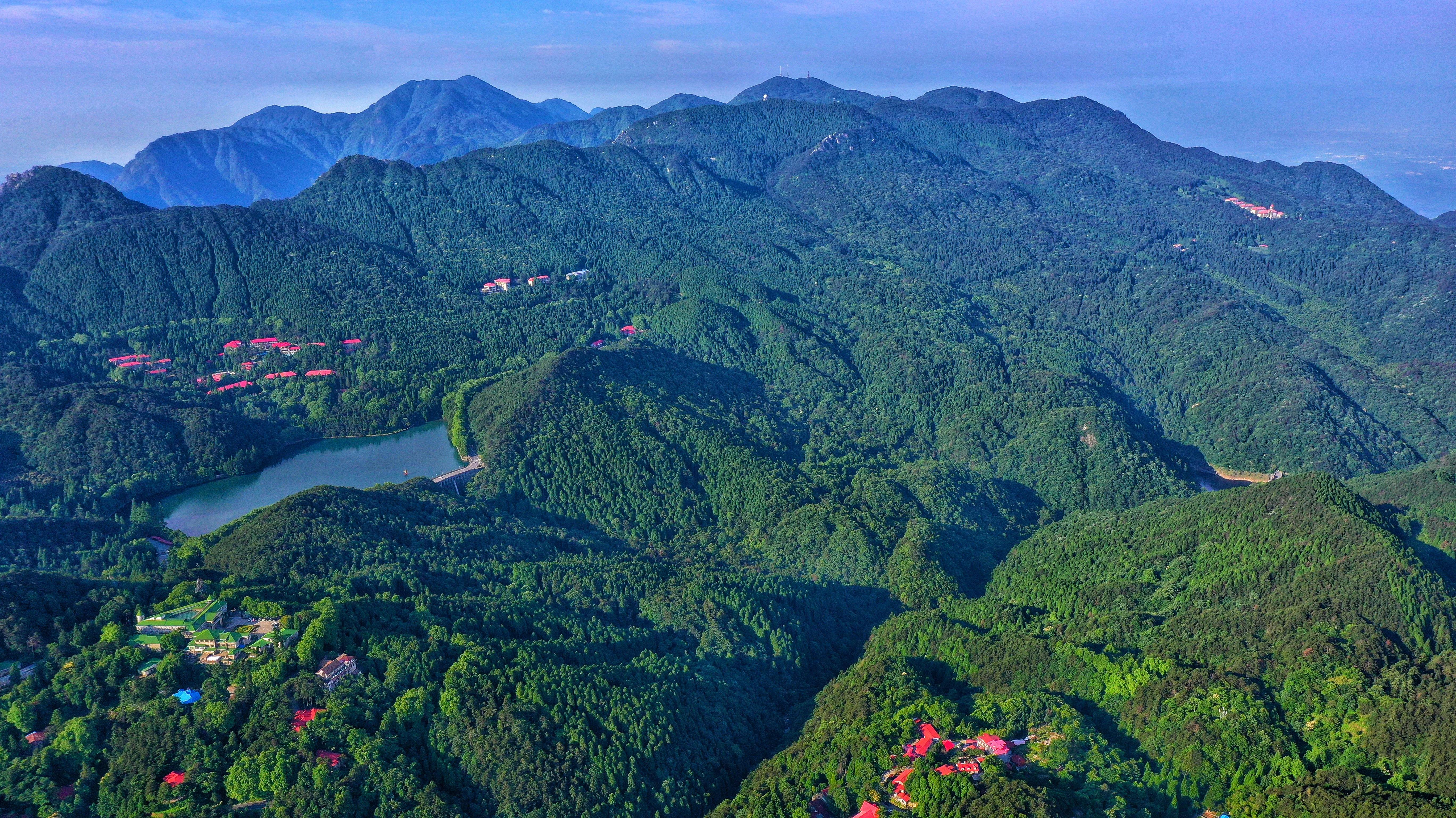 移民新西兰好还是爱尔兰好,移民新西兰护士好移民吗