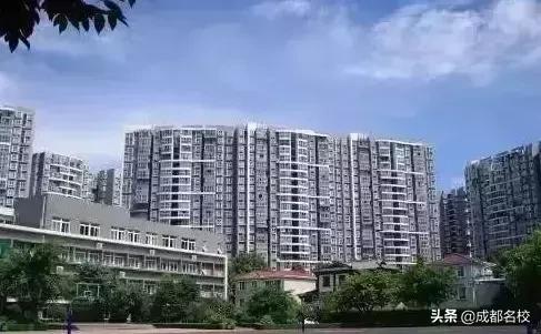 成都私立小学的小升初排名,2021成都私立小学校一览表