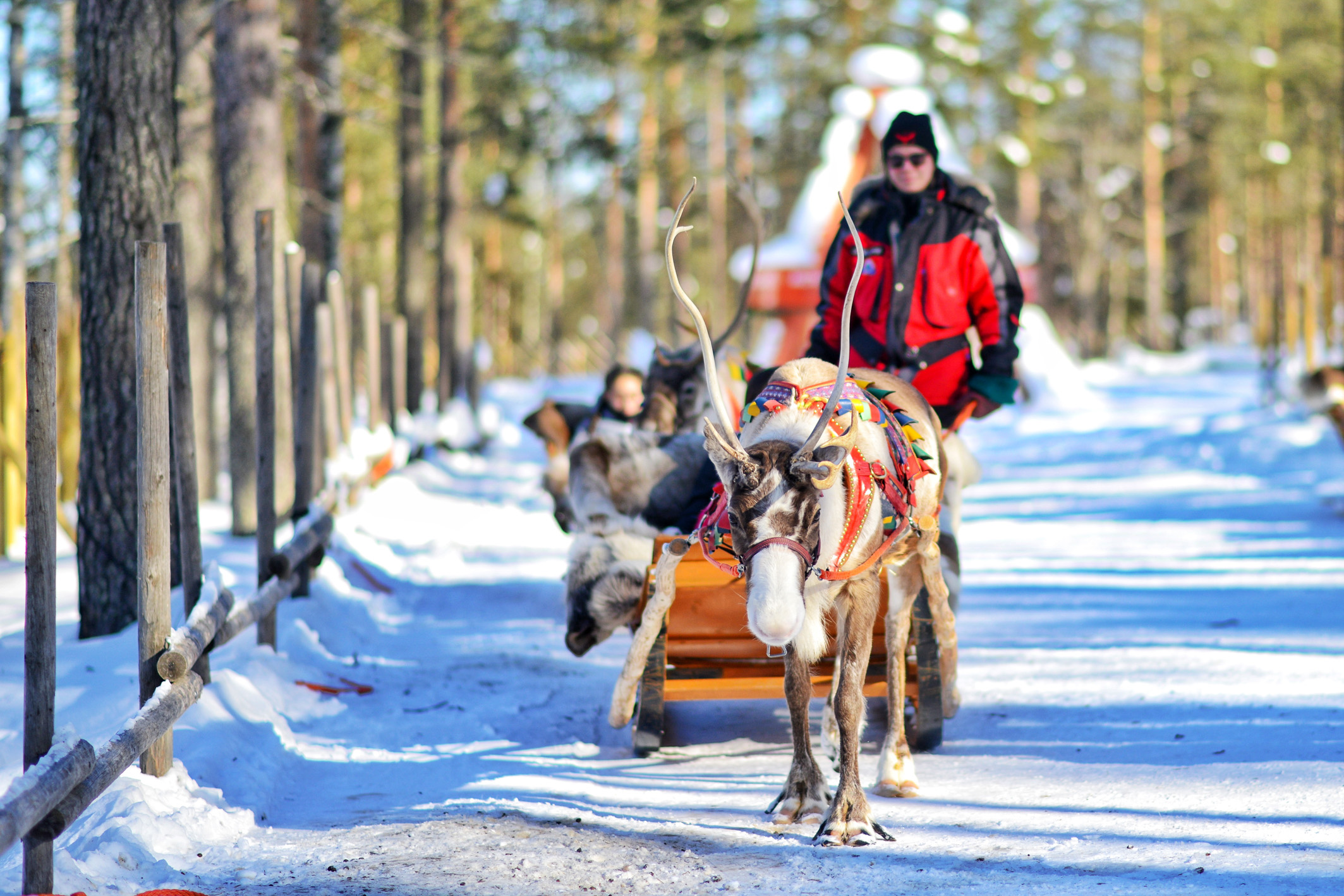 芬兰主要旅游城市,芬兰著名城市