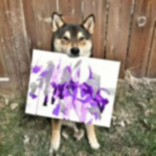 30000人民币！狗子赚口粮大招！铲屎官速进