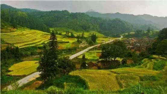 广东天空之城,广东省13个5a级景区你去过几处