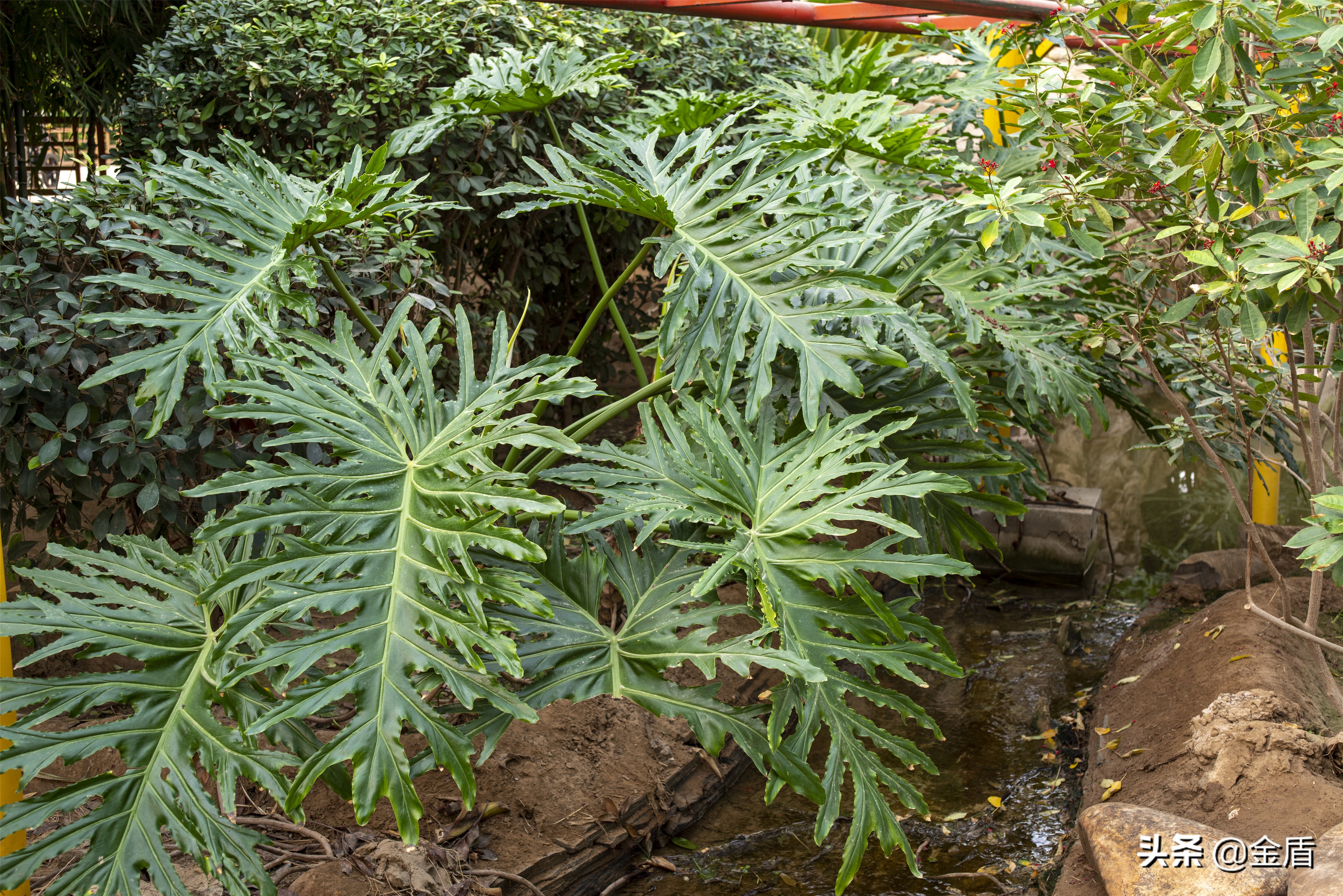 九天休闲谷附近景点大全,九天休闲谷一日游玩