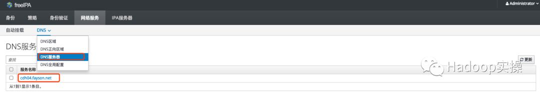 0563-06-如何在FreeIPA上管理域名解析