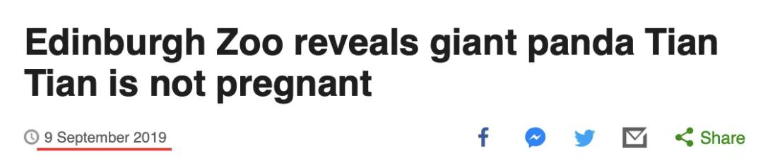 终于拍到熊猫交配的画面,荷兰人民感动疯了!果然国宝干啥都焦点