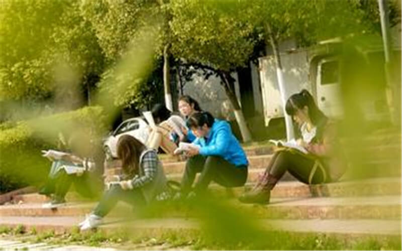 河南民办高校（本科）大起底：野花儿香，能采不？